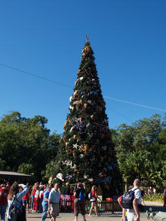 Animal kingdom park Christmas tree #2