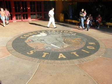 Conservation station walkway