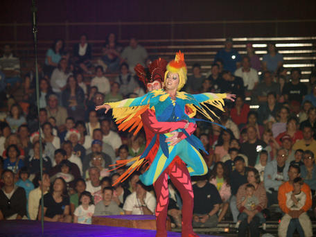 Festival of the lion king #7