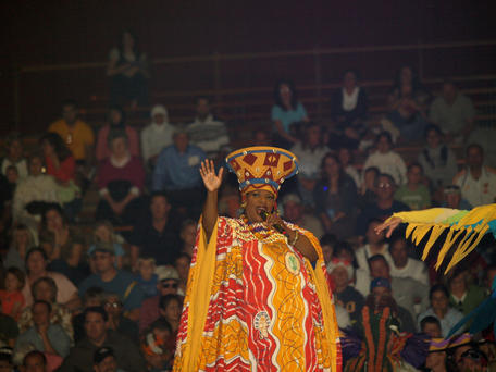 Festival of the lion king #9