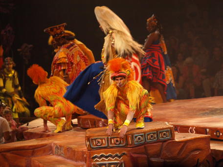 Festival of the lion king #14