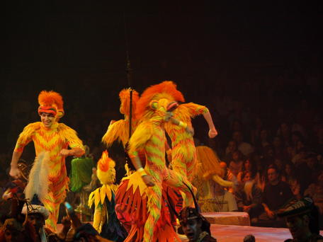 Festival of the lion king #15
