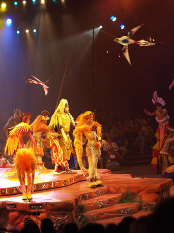 Festival of the lion king #26