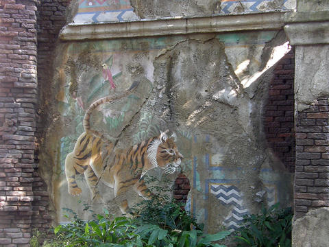Tiger wall