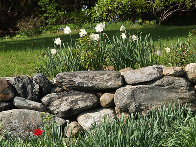 Flowers and stone wall
