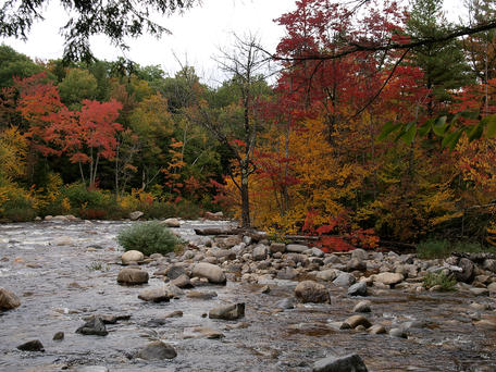 Fall on the Kancamagus scenic byway