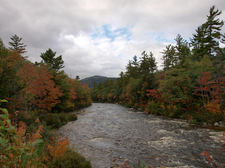 Fall on the Kancamagus scenic byway #5