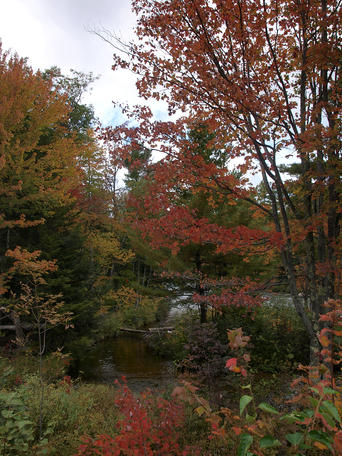 Fall on the Kancamagus scenic byway #7