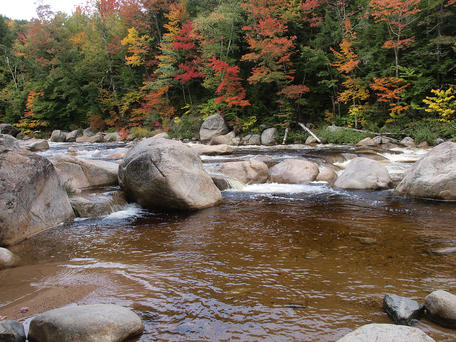 Fall on the Kancamagus scenic byway #11