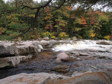 Fall on the Kancamagus scenic byway #15