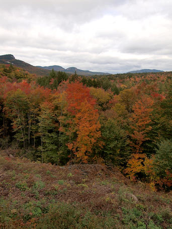 Fall on the Kancamagus scenic byway #20