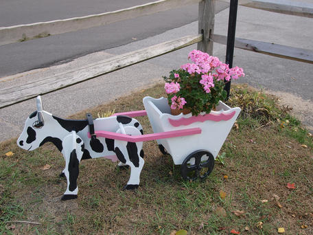 Cow flowerpot