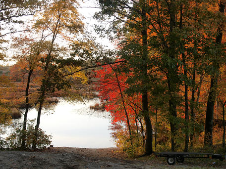 Spectacle pond in fall