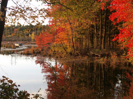 Spectacle pond in fall #3