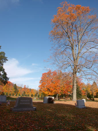Andover cemetary in fall #8