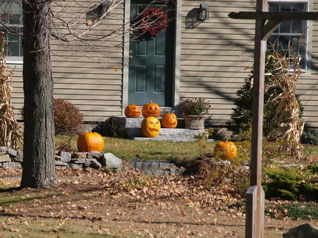 Halloween pumpkins