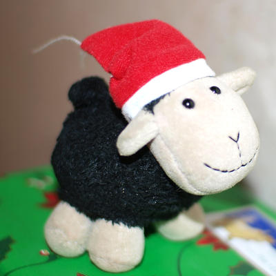 Babamoo with a christmas hat