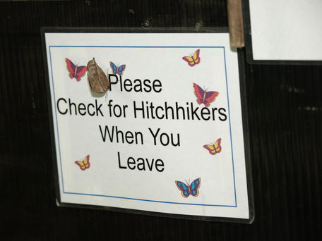 Hitchhiker sign