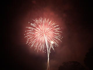 Fireworks #21