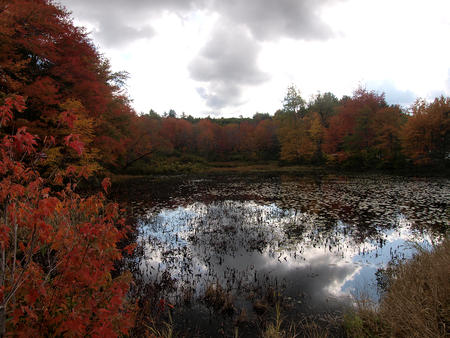 New Hampshire fall #5