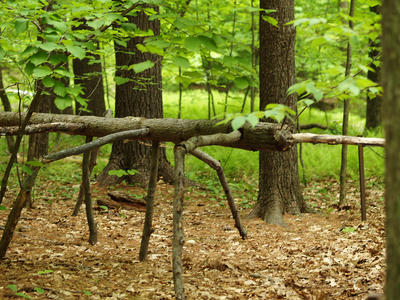 Wooden bug sculpture #3