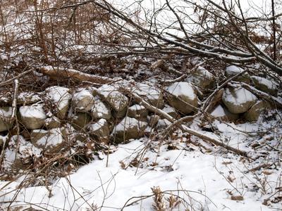 Winter stone wall #2