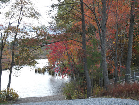 Fall at Spectacle Pond #2