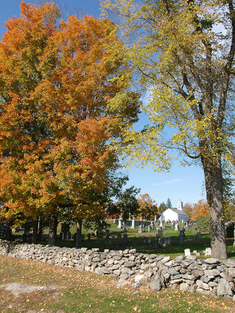 Harvard graveyard in the fall #2