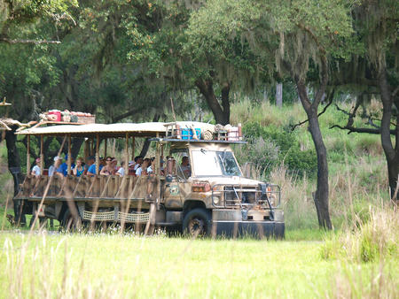 Safari bus