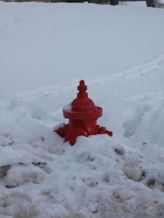 Fire hydrant in the snow
