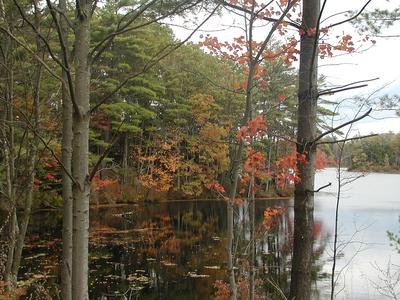 Fall at the lake