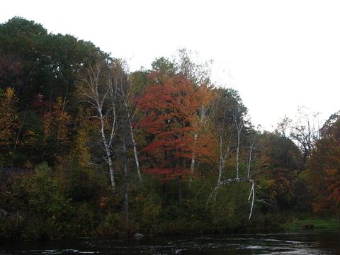 Fall by the river