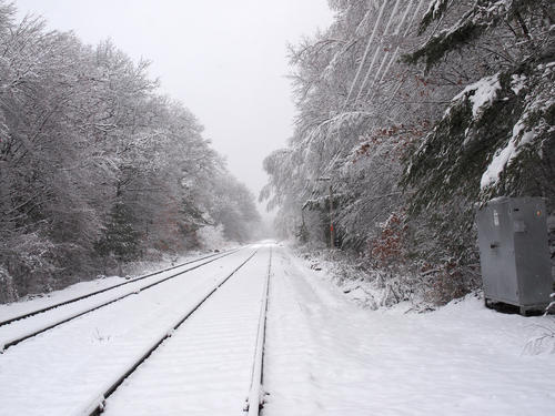 Winter train tracks #2