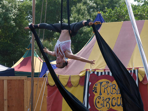 Tribal Circus #19