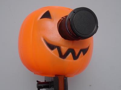 Pumpkin camera