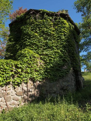 Ivy covered building #3