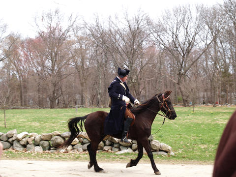 Colonist officer with horse