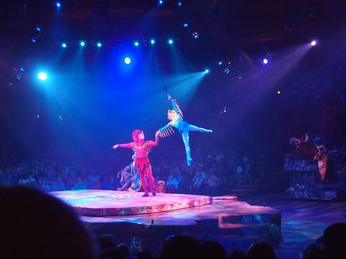 Festival of the Lion King show #3