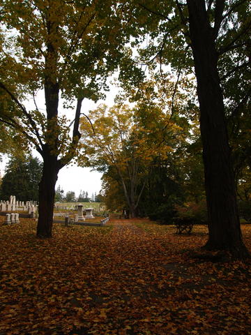 Fall in the Andover cemetery
