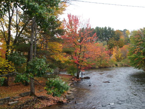 Fall in Tilton, Massachusetts #4