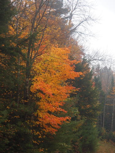 Fall in Waterville Valley, New Hampshire #9