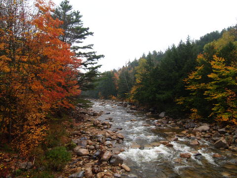 Fall in Waterville Valley, New Hampshire #13