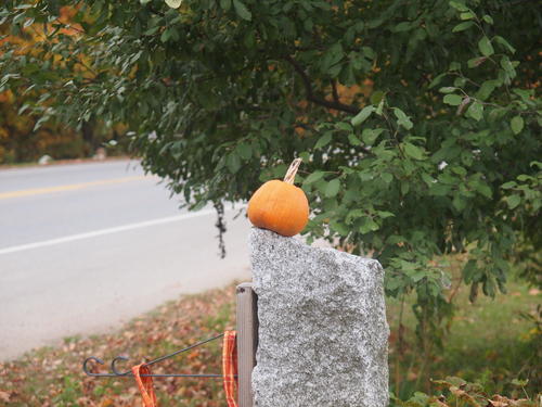 Pumpkin marker