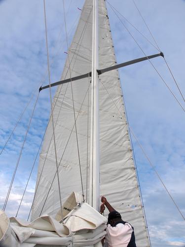 Raising the sails #4
