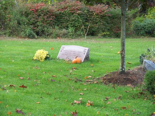 Pumpkin by grave