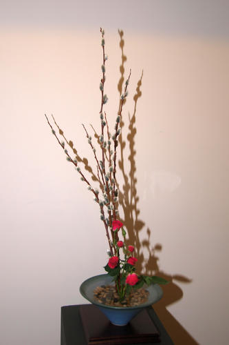Flower arrangement by Linda Clarke