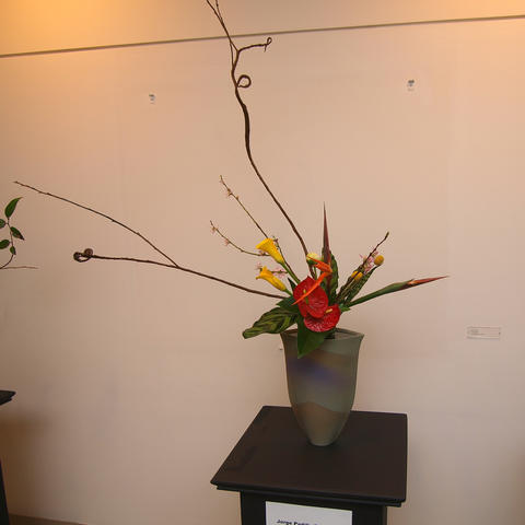 Flower arrangement by Jorge Padilla-Zamudio