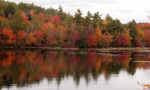 Lakeside fall