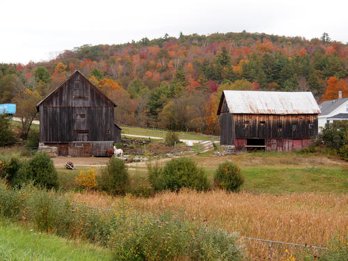 Old barn in fall #2