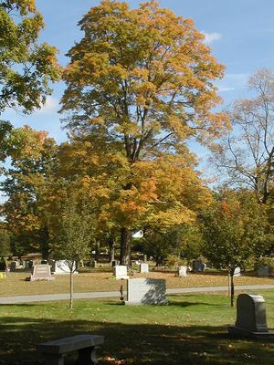 Fall in the graveyard